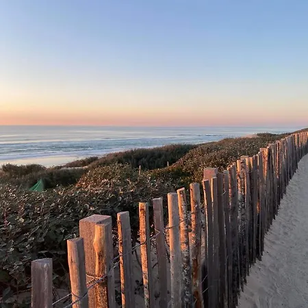 En Plein Coeur De Biscarrosse-plage, Front De Mer Biscarrosse