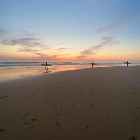 En Plein Coeur De Biscarrosse-plage, Front De Mer Apartment Biscarrosse
