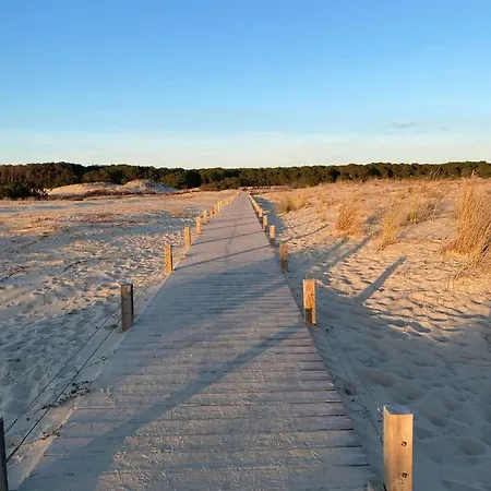 En Plein Coeur De Biscarrosse-plage, Front De Mer * Biscarrosse